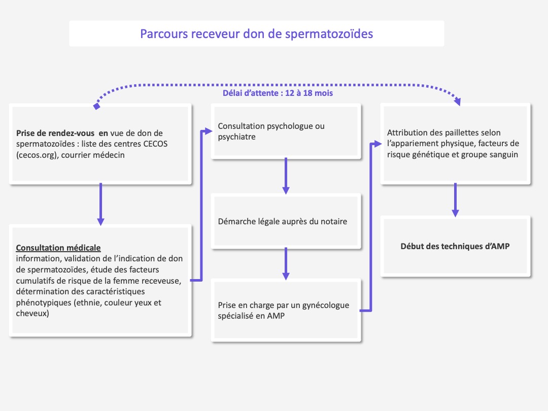 , PMA : comment faire un don de gamètes