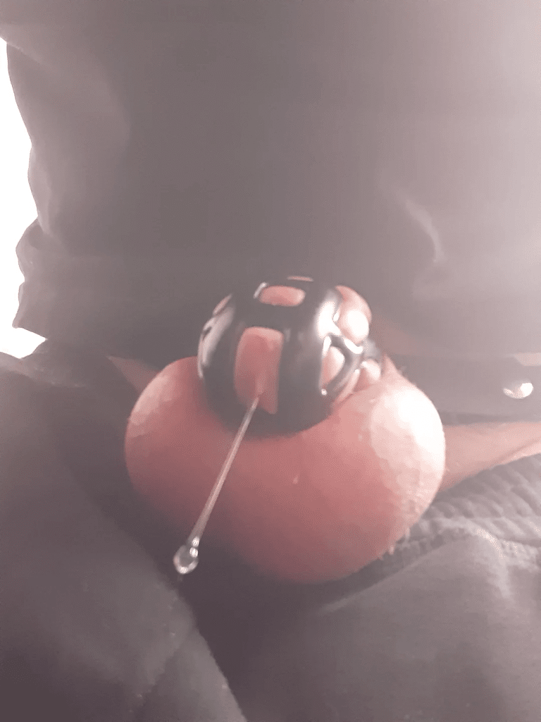 , *,Lorsqu’il est à sa place légitime et ne peut plus devenir dur, il exprime l’excitation de la seule façon dont il peut encore
sur Reddit