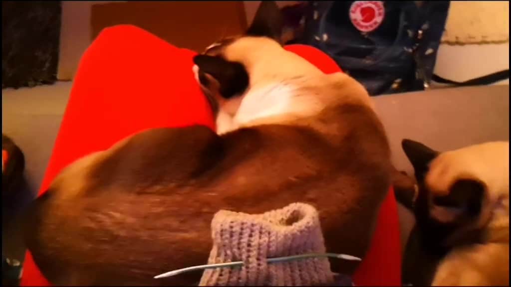 , onanista; Thé, sympathie et chaussettes en laine?