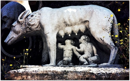 Flickr Romulus et Remo sont, selon la mythologie romaine, les frères jumeaux, dont, Romulus, était le fondateur de la ville de Rome et de son premier roi. Selon la légende, ils étaient des enfants de Mars et Reia Silvia (ou Rhea Silvia), descendant d'aimants. La date de la fondation de Rome est indiquée par la tradition le 21 avril 753 avant JC (également appelé "Natal de Rome" et le jour des festivités du Zall). Dans l'Énéide de Virgile et dans la condition abbra Libri de Tito Livio, Eneias, fils de la déesse Vénus, fuient Troy, vaincu par la chaleur, avec son père Anquishes et son fils Ascanio, tandis que sa femme Creúsa, fille du roi de Priam, disparaît en quittant la ville. Selon cette légende, Rome a été fondée par Romulus, dont l'origine remonte à la guerre de Troie. Lorsque Eneias se rend en Italie, une tempête frappe le navire, par le désir de Juno, et l'oblige à se rétracter à Carthage, où il est reçu par Dido, reine de la ville. Lors d'un banquet en son honneur, à Carthage, Eneias commence à raconter ses aventures: la chute de Troy, le stratagème du cheval et l'évasion avec son père et son fils. Après leur enfance, ils se réfugirent sur le mont Ida, où ils sont restés en hiver en attendant la construction d'une flotte, puis dans une nouvelle patrie. À la fin de son récit, Dido est amoureux des mètres, car Vénus a remplacé son fils par Cupidon, qui frappe ses flèches. Dido demande à Énée de rester avec elle et de règne à Carthage. Eneias et ses compagnons, après avoir été un an à Carthage, partent par ordre de Jupiter au Lazio. Dido, voyant les navires de renforcement au loin, maudisse la tension et le suicide de Troie. Après plusieurs pèlerinages en Méditerranée, Eneias a terrien du Lazio, comme l'a prédit sa mère, affirmant qu'il avait trouvé une ville dans la patrie de Dárdano (son ancêtre qui, selon Legend, avait fondé Troy). Au Lazio, Eneias est aimablement accueilli par le roi latin, qui offre à sa fille Lavinia en mariage. Cependant, la princesse avait déjà été promise le quart de travail, roi des étiquettes. Le différend de la jeune femme devient une véritable guerre, dans laquelle les différentes populations italiques participent, comprenant Etrusc et Volscos. Eneias est combiné avec des populations grecques d'Argos et établie dans la ville de Palante, sur le Mount des filles, royaume de l'Arcada Evandro et de son fils Palante. La guerre est sanglante, Palante meurt bientôt, frappé par le quart et, pour éviter davantage de victimes, le différend entre les signes et le quart doit être résolu dans un combat entre les deux commandants et les prétendants. Eneias tue Shift, épouse Lavinia et fonde la ville de Lavinio (Lavinium), la pratique actuelle Di Mare. Trente ans plus tard, Ascanio, fils d'Eneias, fonde une nouvelle ville, Alba Longa, sur laquelle règne ses descendants. Environ 400 ans plus tard, (Procas) peu de temps avant sa mort, il voulait que ses deux enfants, Numitor et Amulio se réconcilient. Cela fait, il a demandé à son fils Amulio de partager son héritage en deux et pour que Numitor choisisse avec quelle partie voulait rester. Quelques jours plus tard, Procas était déjà décédée et avait demandé à son fils Amulio ait séparé son héritage en deux: la position d'être roi et toutes les richesses du père. Numitor a choisi la position de King, pire, il pensait que c'était juste alors que le fils du premier-né hérite du trône. Amulio était de toute façon heureux d'être riche. Numitor s'est marié et avait une fille, nommée Reia Silvia, son frère Amulio également, et avait une fille nommée Ant. Les deux cousins sont devenus très sympathiques. Il est temps plus tard, Numitor avait un autre fils, Lauso, qui inquiète beaucoup Amulio, car Lause serait l'héritier du trône. Numitor est déposé par son frère Amulio. Craignant de perdre le trône face aux descendants de Numitor, Amulio a tué son neveu Lausa et a forcé sa nièce, Reia Silvia, à la virginité perpétuelle, la faisant vaste (sacerdoce vierge, consacrée à la déesse Vesta) et de faire un vœu de chasteté. Cependant, il est fertilisé et, pour atténuer son manque, dit qu'il a été séduit par le dieu Mars (Dieu romain de la guerre); Reia a donné naissance aux jumeaux Romulus et Remo. Amulio, pour punir Reia Silvia, la tient dans un donjon et par peur que ces héros, fils d'un dieu, veulent prendre sa place, ont envoyé un serviteur pour les tuer, mais le serviteur responsable n'a aucun courage pour accomplir l'ordre et les laisse dans un panier dans la rivière Tiber. Maintenant, c'est le printemps, la période des inondations où la rivière quitte son lit. Le serviteur dépose le panier qui contient des bébés dans les eaux de la rivière qui montent et élèvent le panier. Lorsque les eaux de l'inondation se retirent, elle est sur Terre au pied du palatin. Attirée par le cri des nouveau-nés, un loup quitte les bois et les trouve; Alors qu'elle vient de perdre ses chiots, elle a offert ses tects aux enfants et, comme elle l'a fait avec ses chiots, les lèche avec sa longue langue. Quelque temps plus tard, un mouton de moutons, Fatulus, a trouvé les garçons et les a ramenés à la maison, où sa femme Ama Laurency les a élevées. Romulus et Remo ont grandi dans la cabine de leurs parents adoptifs. La chasse à la faune, la course et l'exercice ont enrichi leur corps et leur âme. Ils avaient en tant que compagnons de bergers et, avec eux, ont attaqué les Passagers pour voler leur butin. Accusé de vol, Remo a été capturé et emmené en présence du roi Amulio. La mûre, le pasteur, a alors décidé de raconter à Romulus l'histoire de son origine. Romulus s'est rendu à Alba Longa, libéré son frère, a tué Amulio, a rendu le trône à son grand-père Numitor et à sa mère les honneurs dus à lui. Les jumeaux ont compris qu'il n'y avait pas d'avenir pour eux à Long Alba. Accompagnés de tous les indésirables de la ville, ils sont retournés à l'endroit où ils ont été abandonnés et ont décidé de fonder une ville. Romulus veut l'appeler Rome et la construire sur le palatin, tandis que Remo veut la baptiser car elle l'avait retirée et la fondée sur l'Aventine. C'est Tito Livio lui-même qui fait référence aux deux versions de la plus grande crédibilité des faits:
"Comme ils étaient des jumeaux et que le respect des parents ne pouvait pas fonctionner comme un critère électif, c'était à ceux qui protégeaient ces endroits pour indiquer, à travers les auspices, qui seraient choisis pour nommer la nouvelle ville et le règne après la fondation. Ainsi, pour interpréter les auspices, Romulus a choisi le palatin et Remo a choisi l'Aventine. Le premier présage aurait construit Remo. Ce qui a repéré six vautours. Romulus a à son tour repéré douze. Comme Romulus était absent lorsque le présage a été annoncé, les groupes respectifs ont proclamé les deux comme des rois en même temps. Certains ont soutenu qu'ils avaient droit à la puissance en fonction de la priorité au fil du temps, d'autres en fonction du nombre d'oiseaux vus. Ainsi, a eu une discussion et la lutte en colère des mots passée au sang: l'aviron, frappé à la tête, s'est effondré. Il est plus remarquable que la version que Remo, pour surprendre son frère, aurait jeté les murs nouvellement installés (Pomerium), et en colère, avec colère, aurait menacé ces mots: "Alors, à partir de maintenant, mourir qui grimpe mes murs". De cette façon, Romulus a pris possession du pouvoir et la ville fondée a pris le nom du fondateur.
<b> Texte de manière flagrante de Wikipedia </b></p>
<p>« ></p>
<p>Si vous désirez accéder à l’image sur Flickr, veuillez cliquer sur ce lien :<u>Lien vers le post original:</u> <a href=