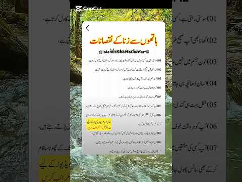 Image YouTube