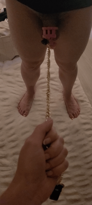 , *,Écoutez les hubs. Lorsque vous êtes petit et que vous ne pouvez pas rester dur, vous êtes enfermé et en laisse. Il est temps de renifler et de lécher ma chatte pour le reste de la nuit.
sur Reddit