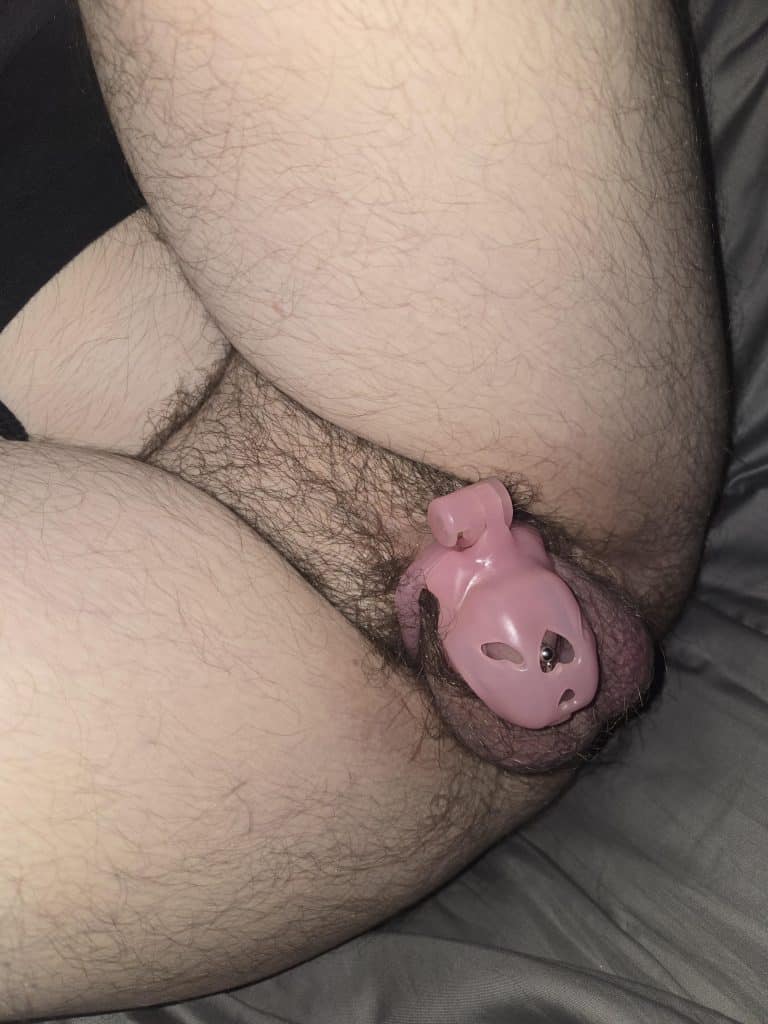 , *,Cette cage s’adapte au meilleur
sur Reddit