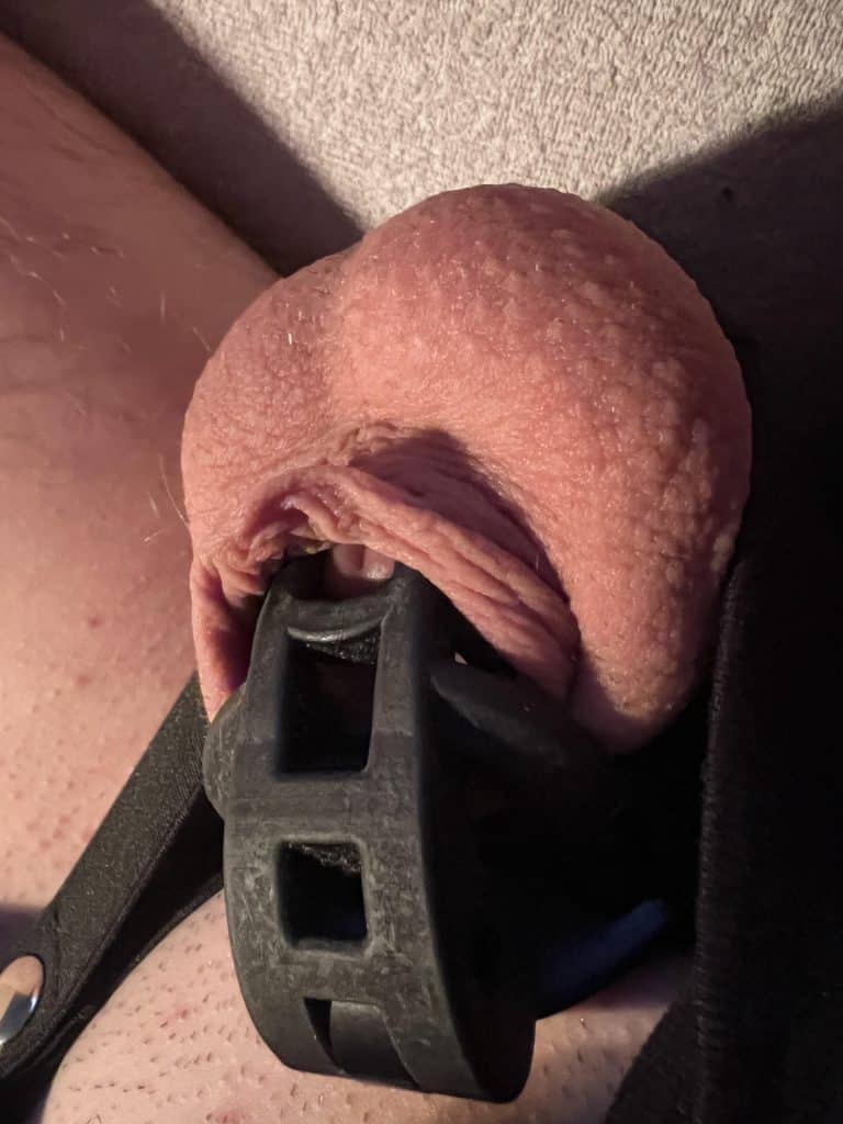 , *,J’adore cette cage: P c’est petit, mais confortable: P
sur Reddit