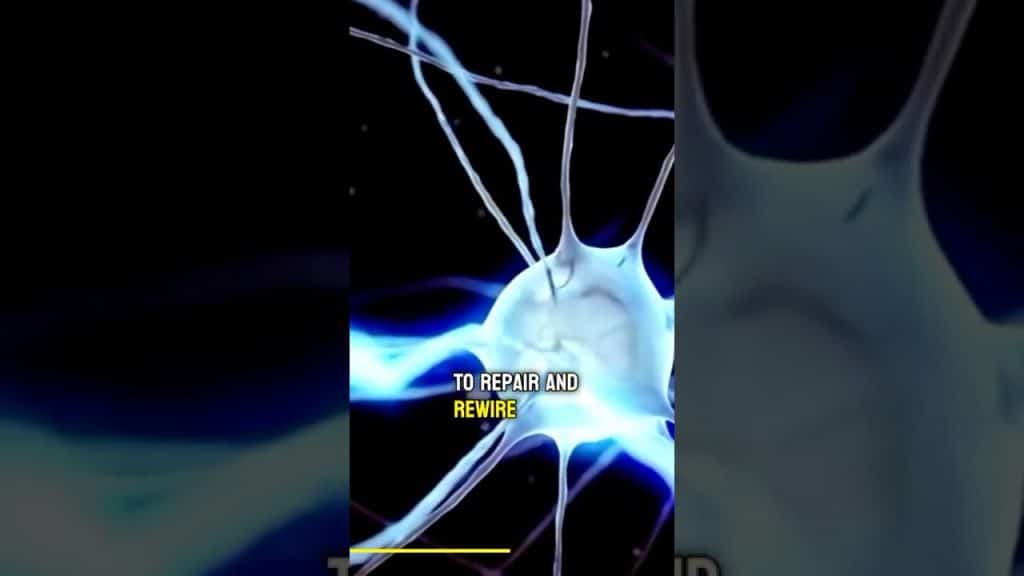 , Youtube (Nofap): SEMEN RETENTION FLATLINE EXPLAINED! #semenretention #seedretention #nofap #flatline #fooladifitness