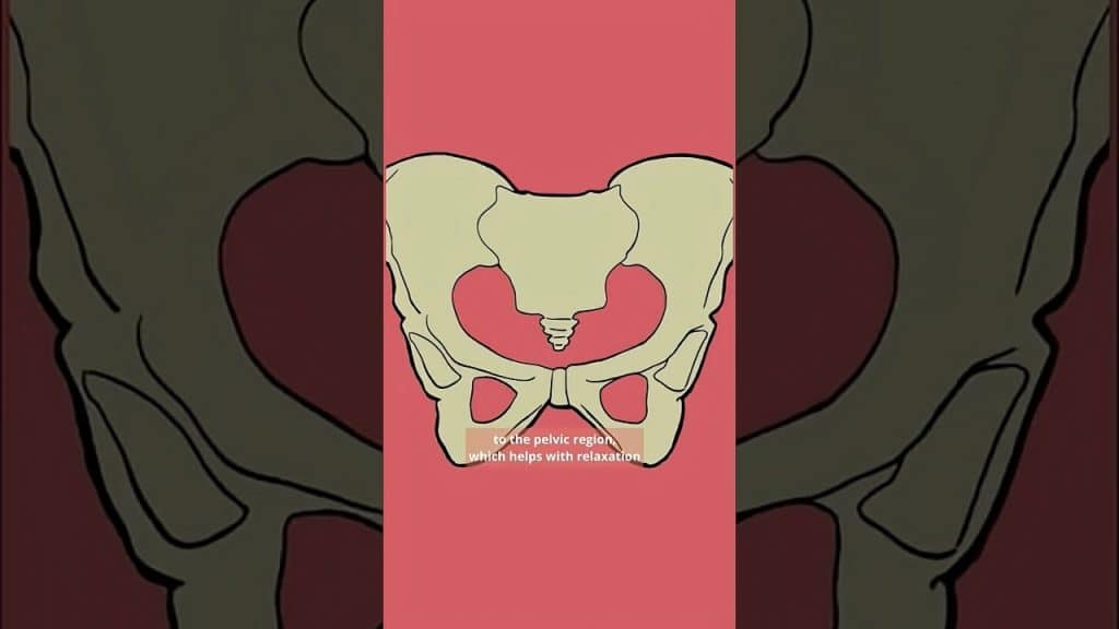 , Youtube (masturbate): What Happens When You Stop Masturbating