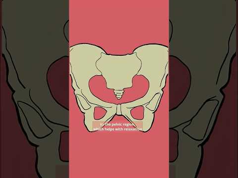 Image YouTube