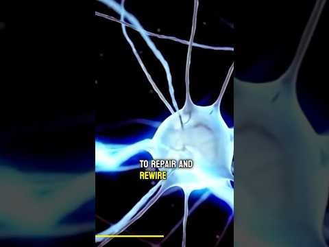 Image YouTube