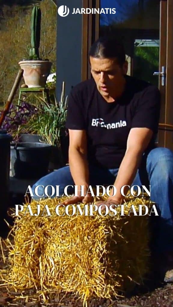 , Pinterest (hacerse una paja): Acocolchado con paja compostada – Jardinatis