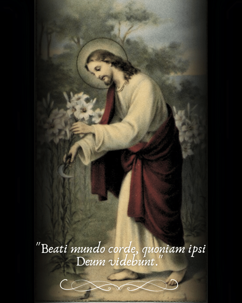 , castidade; Jesus e os lírios!