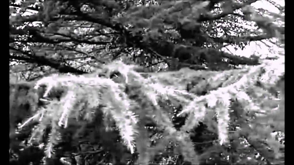 , Youtube (chasteté): Ainsi parlait Zarathoustra – De la chasteté