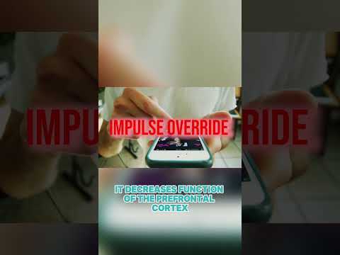 Image YouTube