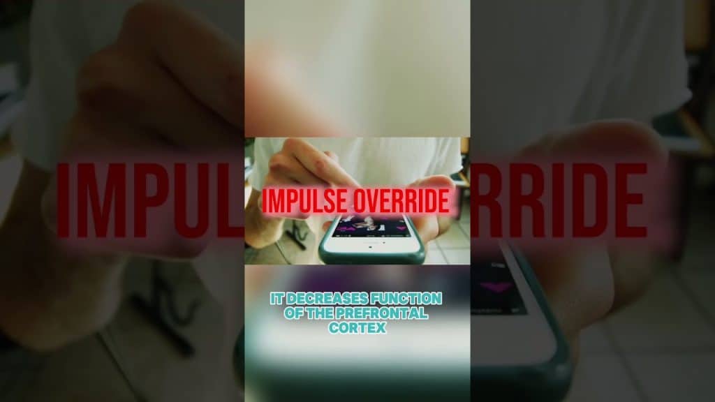 , masturbate,Masturbation + Porno = Dysfonction érectile
sur Youtube