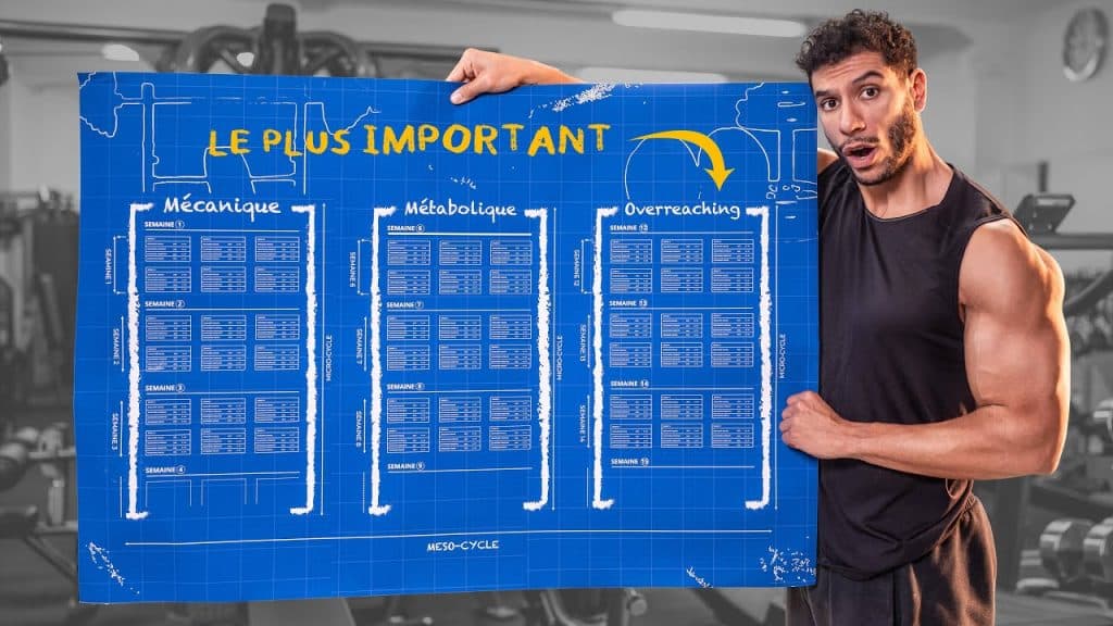 , préparation athlète; Comment créer son programme de musculation (débutants)