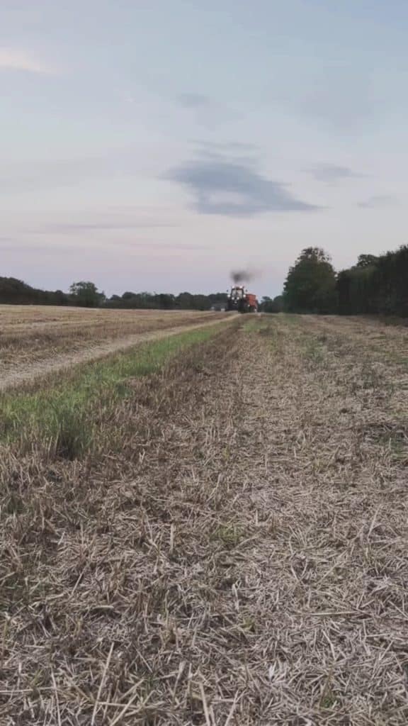 , Tiktok (onanista): Un peu de ces derniers jours