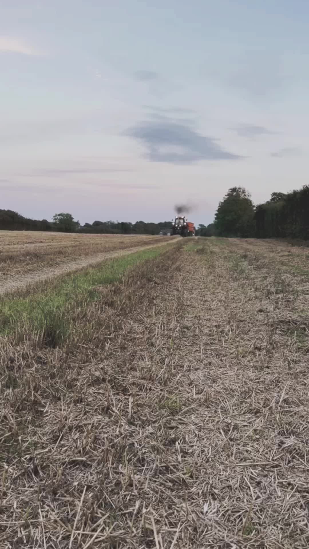 , Tiktok (onanista): Un peu de ces derniers jours