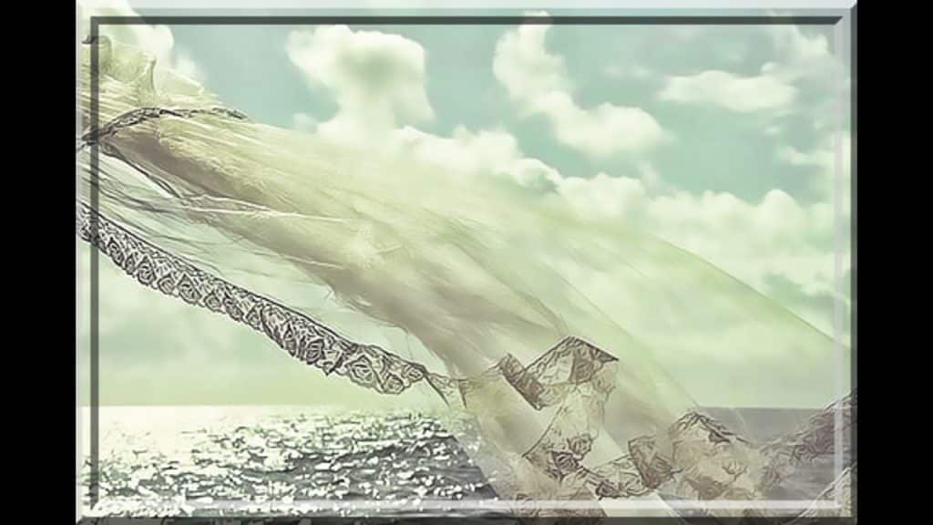 , chasteté,La chasteté de la femme musulmane – Abdelmalik Abou Adam Al Firansi sur Youtube