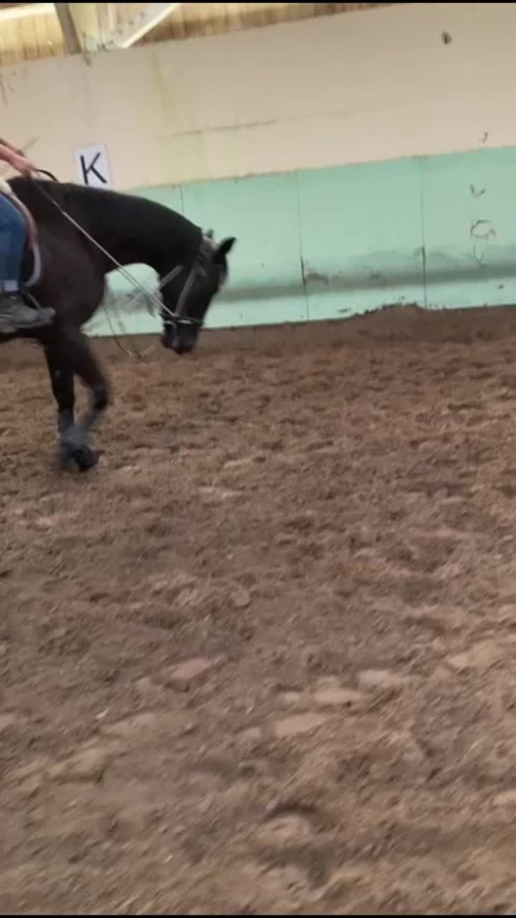 , preparation mentale sportive,Baby isou en gogue commandé, pour du stretching aux pas avec l’aide de qui nou
sur Tiktok
