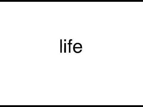 Image YouTube