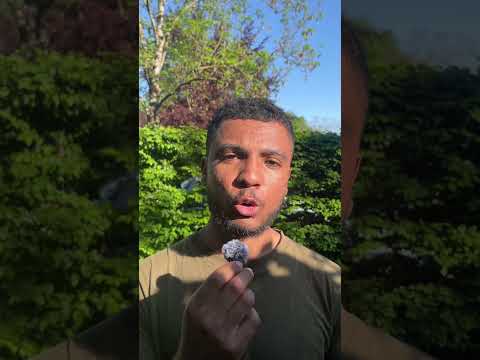 Image YouTube