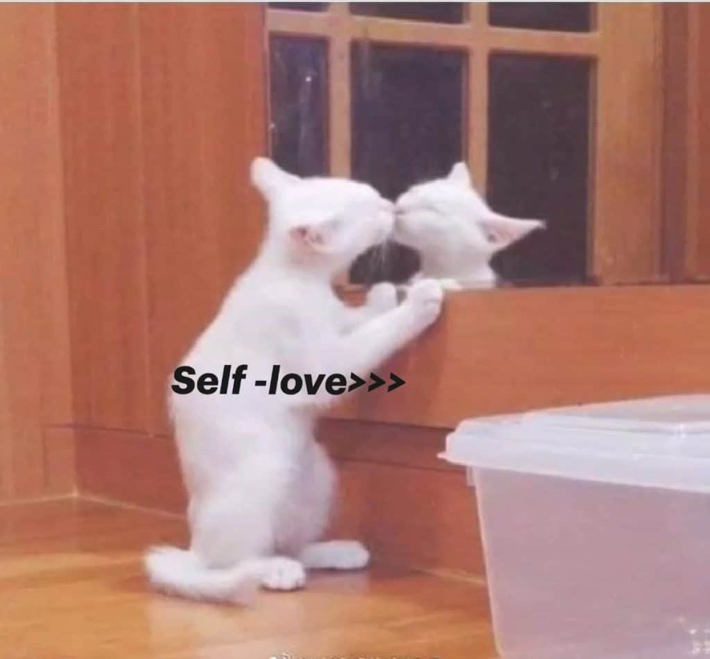 , 自己愛; Self -love>>>😸