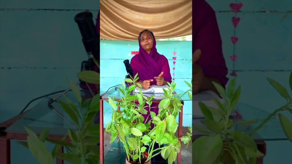 , Castità; Rev Sister Marcelin christian message faith words #christian #trending #viral #christian #gospel