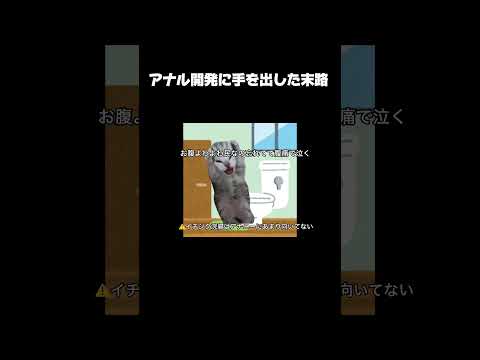 Image YouTube