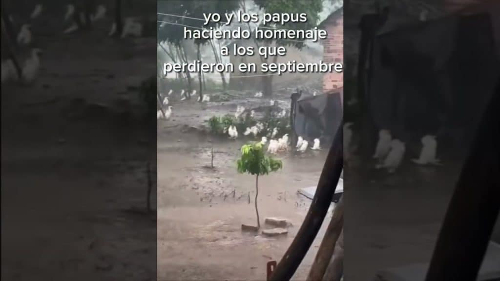 , No Fap, »Reto Nofap Septiembre 💀 »#NoFap #NoFapSeptember #Humor #Shorts #Viral soldado caído sur Youtube