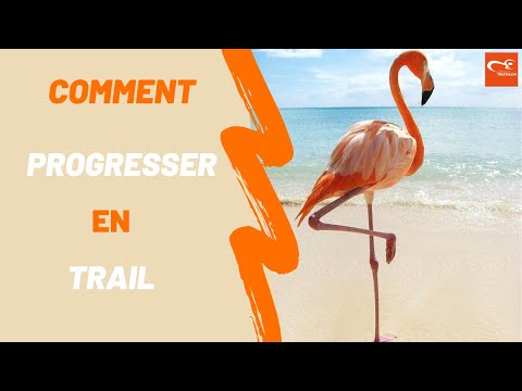 Image YouTube